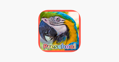 Wild Animal Preschool Games Image