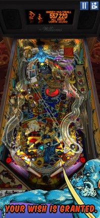 Williams™ Pinball Image