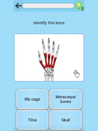 Anatomy Game Image