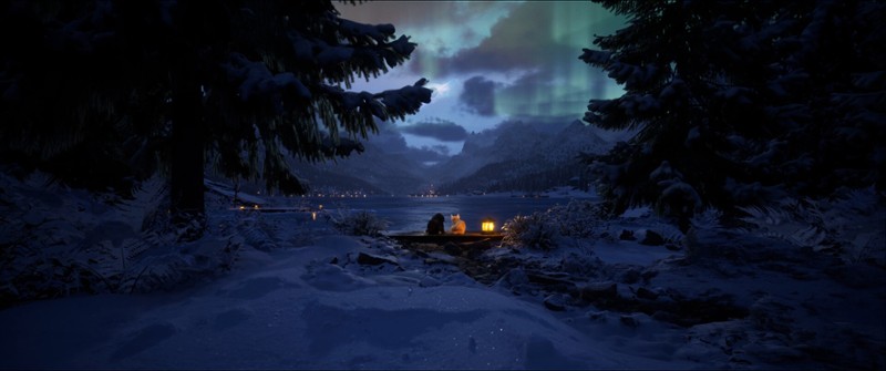 Cold Paws Image