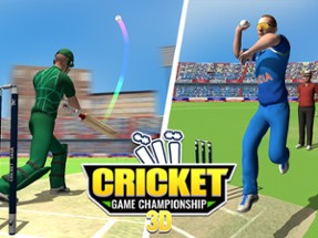 Cricket Game Championship 3D Image