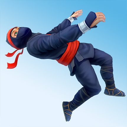 Ninja Flip Image