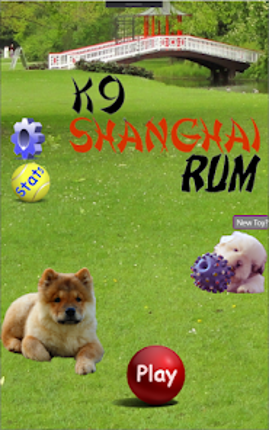 K9 Shanghai Rummy screenshot