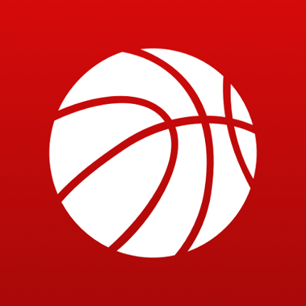 Superfan Sports Pro Basketball Image