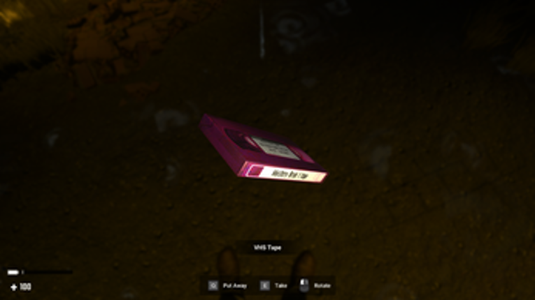 Cryptic Pursuit - The Search Image