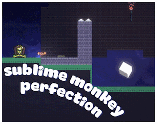 Sublime Monkey Perfection Image