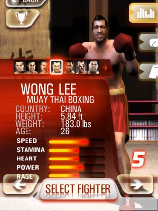 Iron Fist Boxing Lite screenshot