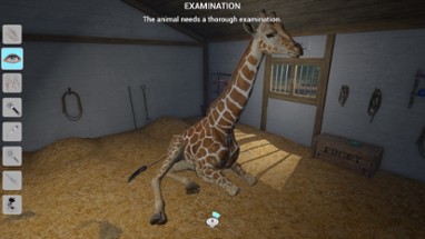 My Life: Zoo Vet Image