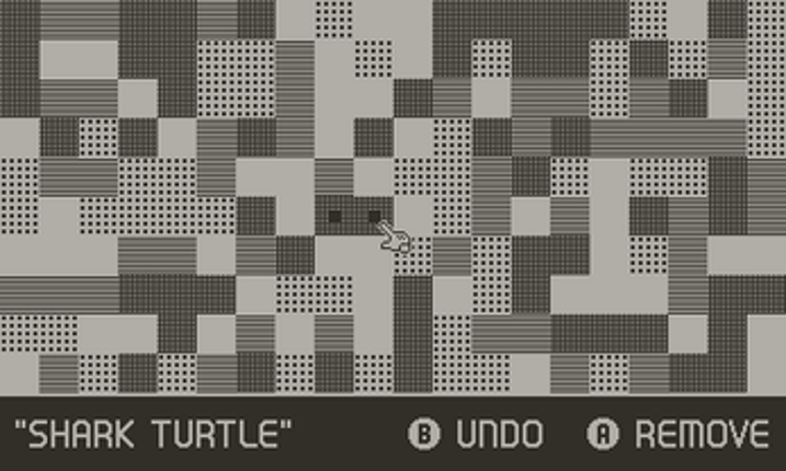SHARK TURTLE Image