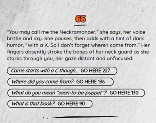 Viva La Dungeon Adventure Gamebook #1: Rise of the Neckromancer screenshot