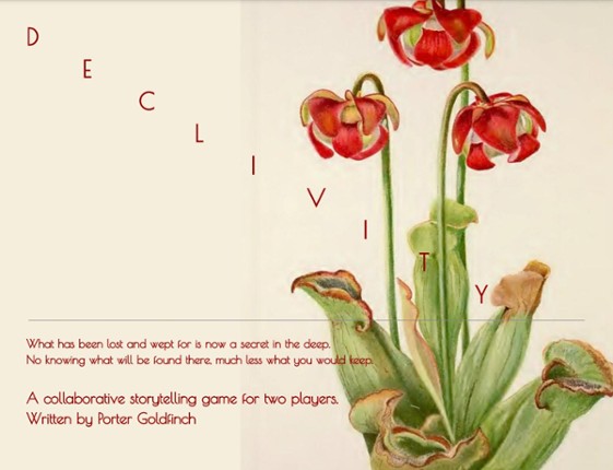 DECLIVITY Image