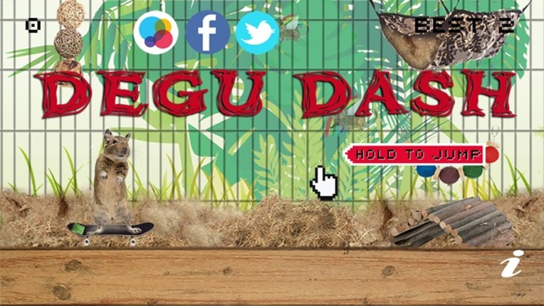 Degu Dash Image