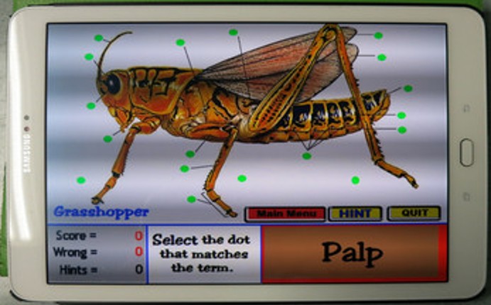 Label that Diagram - Garden Invertebrates Image