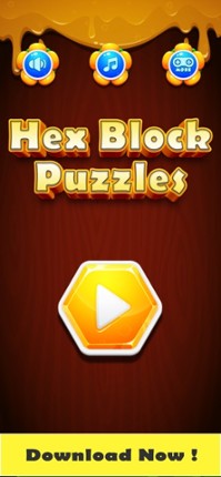Hex Block Puzzles Image