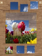 Nature Jigsaw Puzzles Image