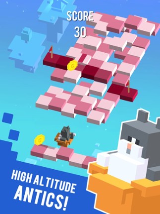 Sky Hoppers Image