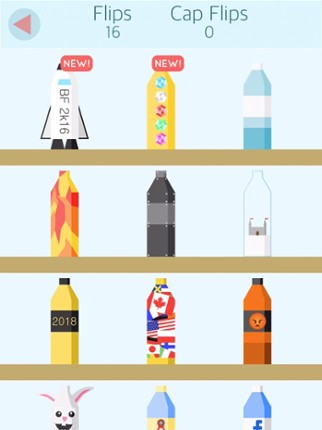 Bottle Flip 2k16 Image