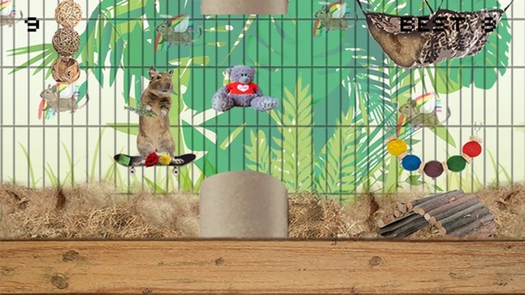 Degu Dash screenshot