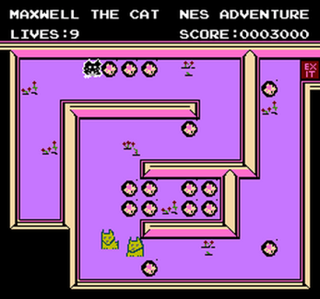 Maxwell The Cat - NES adventure screenshot