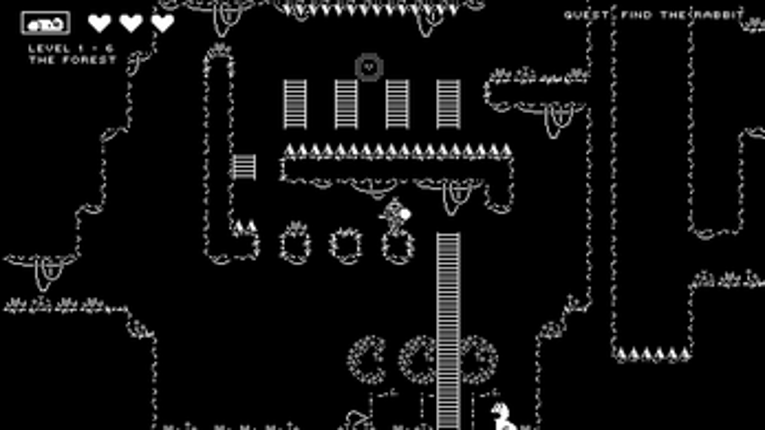Lagomorph Image