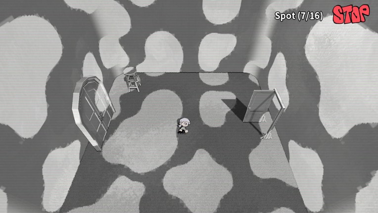 The Door in The Skybox Image
