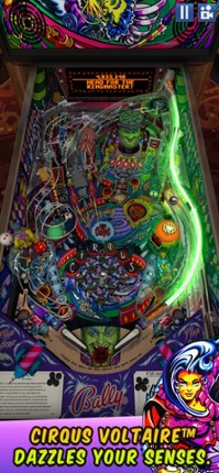 Williams™ Pinball Image