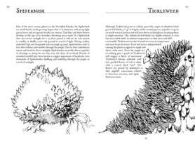 A Field Guide to Hot Springs Island (TTRPG) Image