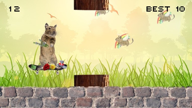 Degu Dash screenshot