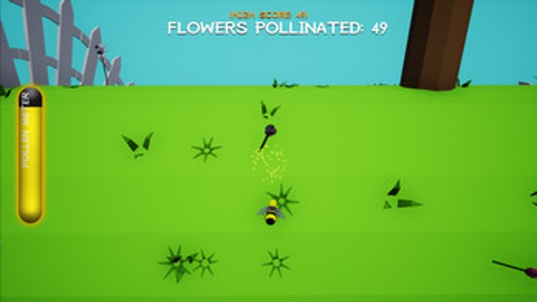 Pollen Run Image