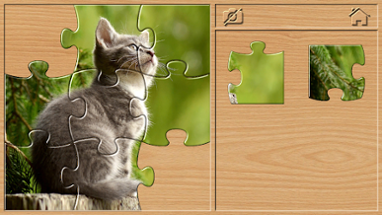 Animal Puzzles for Kids Image