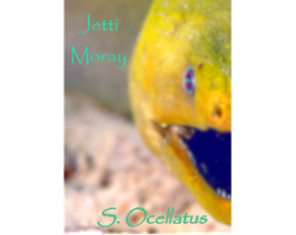 [INDEV] Jetti Moray - An Oceanic Fantasy Tale Image