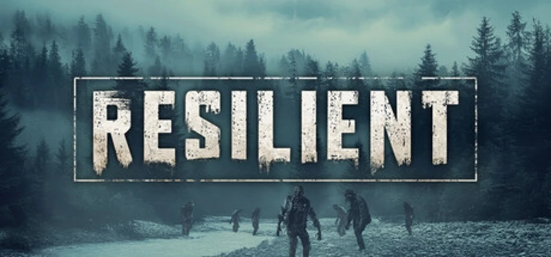 Resilient Image