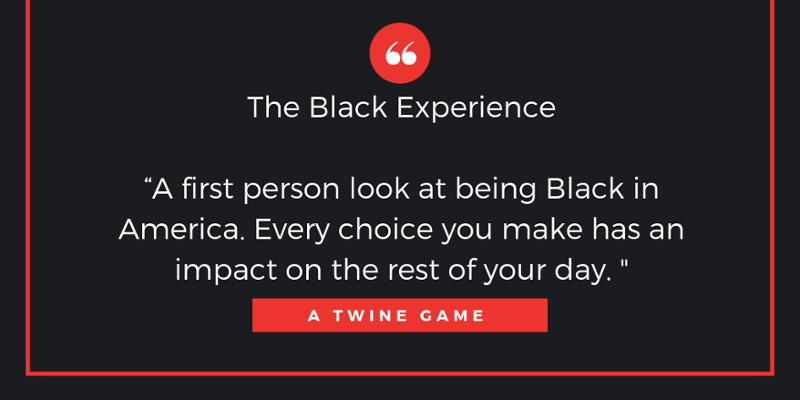 The Black Experience Game Cover