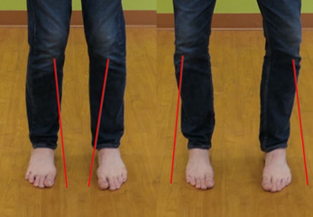 How to Operate Your Body: The Legs screenshot