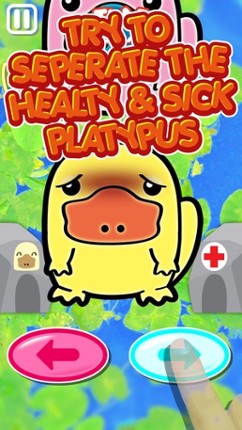 Littlest Smart Platypus Playground | My Lovable Wild Animals Friends Game screenshot