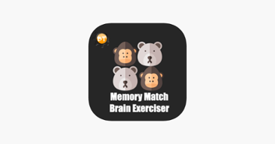 Memory Match Brain Exerciser Image