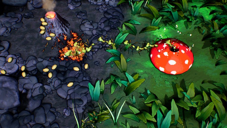 Ants Times Infinity Image