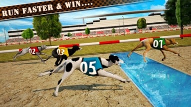 Dog Race &amp; Stunts 2016 Image