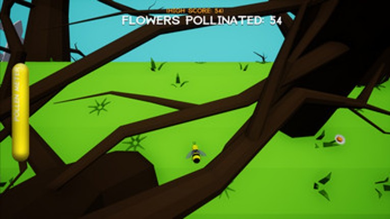 Pollen Run Image