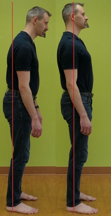 How to Operate Your Body: The Legs Image