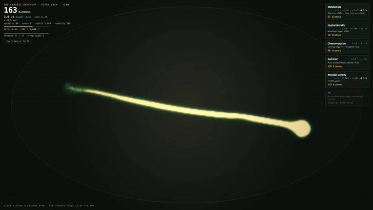 The Largest Organism Image