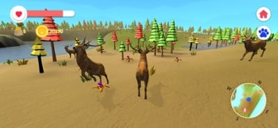 Animal Discovery in 3D Image