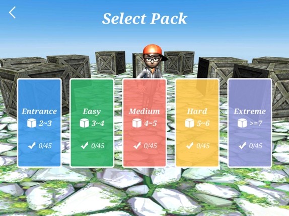 Box Puzzle 3D III Image