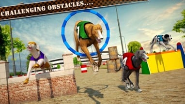 Dog Race &amp; Stunts 2016 Image