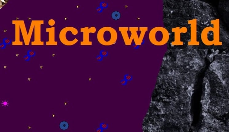 Microworld Game Cover