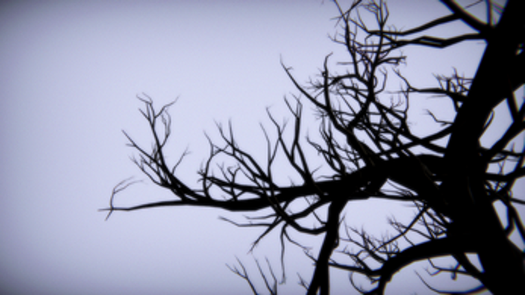 The Place in Between screenshot