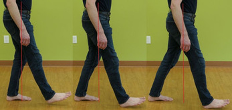 How to Operate Your Body: The Legs Image