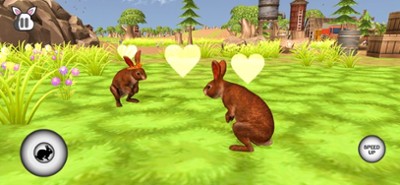 My Rabbit Bunny Simulator Image