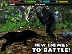 Panther Simulator Image