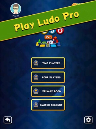 Ludo Pro Image